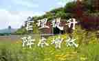 市提质增效工作总结8篇