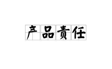 责任与担当作文优质6篇