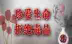 观看张子权先进事迹心得体会5篇