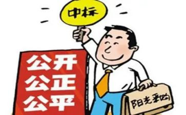 招标工作总结范文8篇