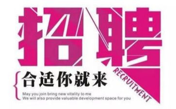 教师招聘个人总结6篇