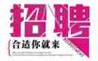 教师招聘个人总结6篇