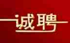 招聘员的工作总结优秀7篇