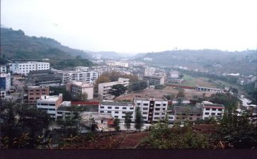 镇专项工作报告推荐5篇
