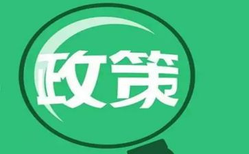 政策与形式的心得体会6篇