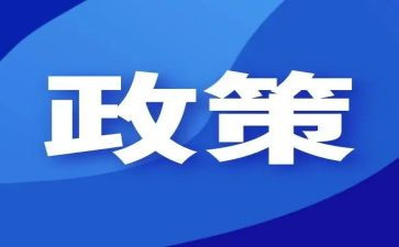 小学双减政策心得体会6篇