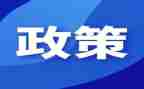 小学双减政策心得体会6篇