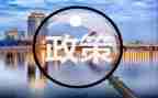 教师双减政策心得体会8篇