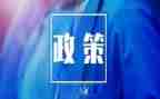 双减政策演讲稿6篇