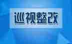 党组书记巡察整改报告7篇