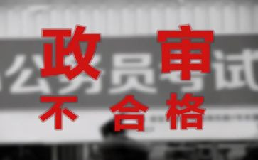 教师政审的个人总结个人总结6篇