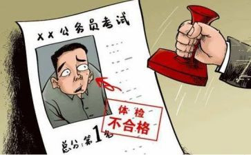 省考政审个人总结精选5篇