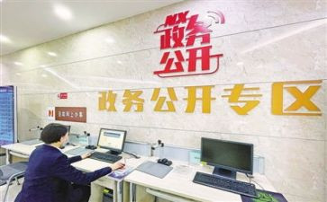 2024年政务公开日活动总结8篇