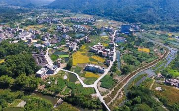 乡村振兴个人总结模板6篇