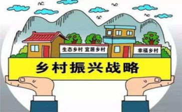 乡村振兴驻村干部心得体会6篇