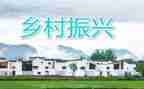 个人乡村振兴调研报告8篇