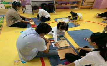 学生发展指导学生心得体会精选6篇