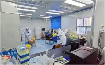 质量工作总结及2024年质量工作计划6篇