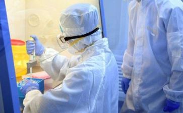 质量科年度工作计划模板5篇