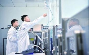 质量师工作总结优秀8篇