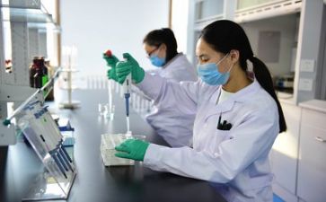 质量工作总结及2024年工作计划5篇