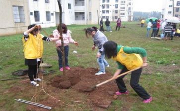 植树心得体会600字6篇