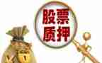 商标质押申请书7篇