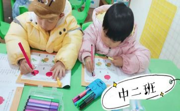 幼儿园中班教学心得体会7篇