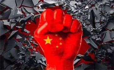 中国年》心得体会最新7篇