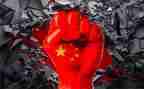 中国年》心得体会最新7篇