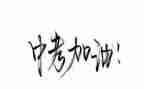 中考作文800字精选7篇