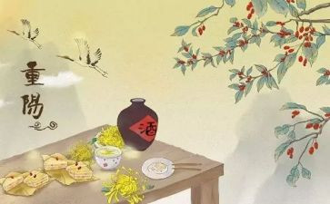 重阳节敬老月活动方案最新8篇