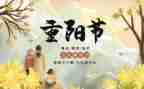 2024年幼儿园重阳节活动总结通用8篇