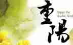 2024年重阳节讲话稿优秀6篇