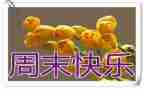 英语周末小作文模板8篇