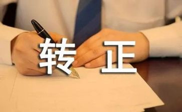个人总结转正申请7篇