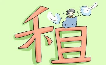 转租房子的合同参考6篇