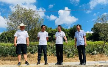 干部驻村述职报告优质8篇