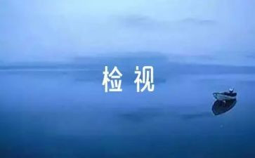 学校自检自查报告范文8篇