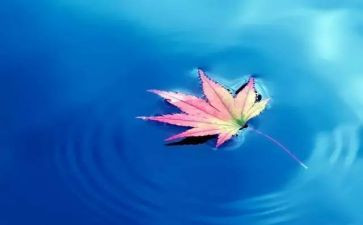 保护大自然心得体会5篇