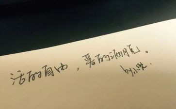 生命与自由作文7篇