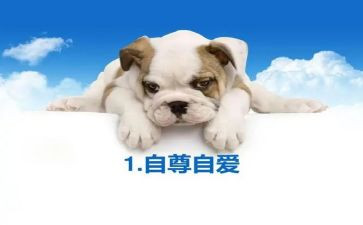 自尊自信演讲稿8篇