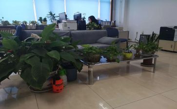 z综合部工作总结优质8篇