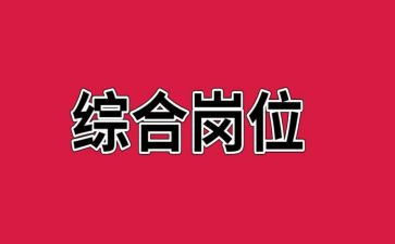 企业综合岗工作总结5篇