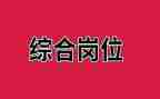 企业综合岗工作总结5篇
