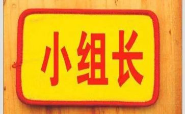 村组长工作总结范文7篇