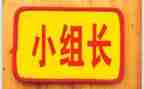 村组长工作总结范文7篇