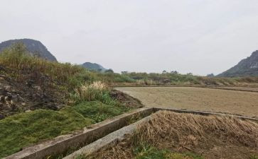合同范本房屋租赁合同最新5篇