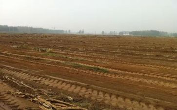 自住房租赁合同8篇