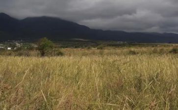 合同范本房屋租赁合同参考7篇